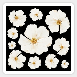 White Magnolia Decor Sticker